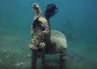 العثور على تمثال حمار في قاع البحر الأحمر بالقرب من الشواطئ المصرية