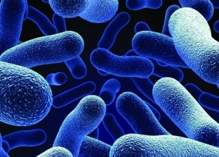 دراسات حديثة تكشف العلاقة بين البكتيريا والسرطان