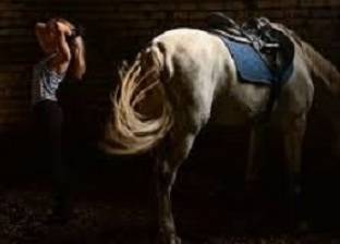 بالفيديو| حصان يسقط راقصة من على ظهره بطريقة كوميدية