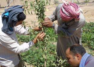 «تغير المناخ» يوضح سبل علاج ظاهرة تساقط أزهار المحاصيل بسبب تقلبات الطقس