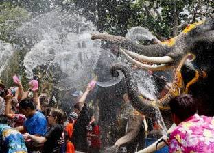 بالصور| أفيال "أيوتايا" تشارك التايلانديين احتفالات مهرجان الماء