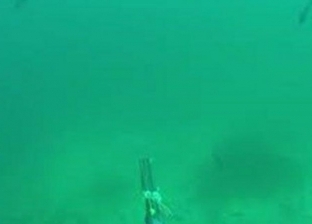 بالفيديو| لأول مرة في التاريخ.. غواص يصور وحشا بحريا ضخما