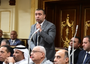 رئيس برلمانية «حماة الوطن» بالنواب: نرفض تهجير أهل غزة وما يحدث جرائم حرب