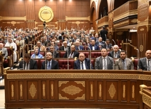 برلماني: نجاح مصر في تنفيذ صفقة الأسرى يعكس ثقل دورها الاستراتيجي