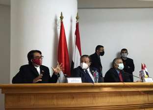 سفير إندونيسيا: تشابه كبير بين الشعبين المصري والإندونيسي (صور)