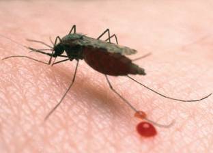 أطباء يكذبون "الصحة العالمية": يمكن القضاء على الملاريا خلال 30 عام