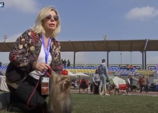 بالفيديو| مسابقات الجمال حول العالم.. قطط وكلاب وخيول "زي القمر"