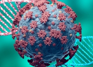 أستاذ فيروسات: سرعة انتشار «أوميكرون» تساهم في تحقيق مناعة القطيع