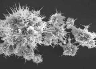 علماء يبتكرون جسيمات النانو لاكتشاف السرطان