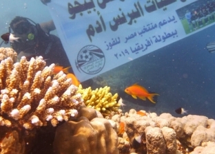 "أفريقيا تحت الماء".. تشجيع منتخب مصر من أعماق البحر الأحمر