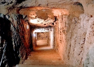 على طريقة فيلم «صعيدي رايح جاي».. حمار يكتشف أكبر مقبرة رومانية في مصر