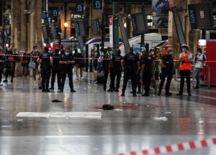 فيديو.. الدماء تلطخ محطة قطار باريس بعد حادث طعن