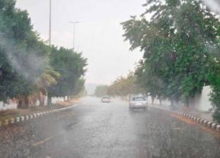 "الأرصاد السعودية" تحذر من استمرار هطول أمطار رعدية على محافظة الطائف