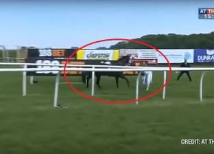 بالفيديو| مذيعة تسيطر على حصان هائج على الهواء مباشرة