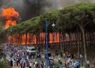 المغرب يواصل مكافحة حرائق الغابات.. وإخلاء أكثر من 1600 منزل في «ملقة»