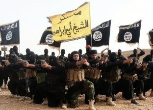 مرصد الفتوى: "زووم" تطبيق إلكتروني وبوابة للتجنيد وإعادة بناء داعش