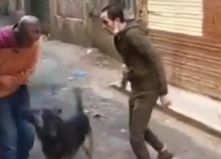 محام يتنمر ويعتدي على مواطن في الإسكندرية: «طلق الكلب عليه» (فيديو)