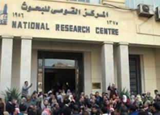 "القومي للبحوث" يمول مشروع لتطوير جودة الصوف في سيناء