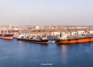 ميناء دمياط يستقبل 39438 طن بضائع على متن 27 سفينة خلال 24 ساعة