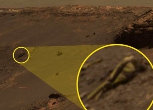 "يشبه المصريين".. "ناسا" تعثر على تمثال بشري على سطح المريخ