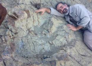 اكتشاف أكبر طبعة قدم ديناصور عملاقة في العالم بأمريكا الجنوبية
