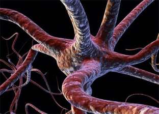 اكتشاف الخلية العصبية المسؤولة عن القلق والضجر في المخ