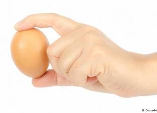 دراسة تبرئ البيض من مخاطر الإصابة بأمراض القلب