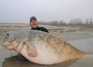 بالصور| صياد يتمكن من اصطياد سمكة بحجم "قرش" بصنارته