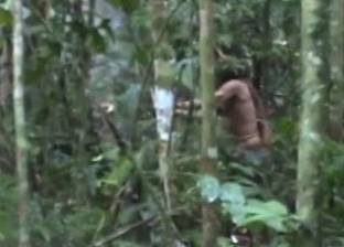 فيديو| ظهور "طرازان الأمازون" بعد نجاته من إبادة قبيلته منذ 22 عاما