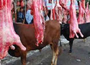 الجزارون يرفضون زيادة أسعار اللحوم فى قنا: «العجالى بـ100 جنيه»