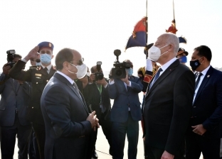 السيسي: الرئيس التونسي ثمن جهود مصر لحل أزمة سد إثيوبيا
