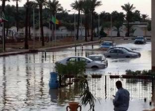 محافظة البحر الأحمر تحذر من "مياه السيول": تحمل عقارب وحيات سامة