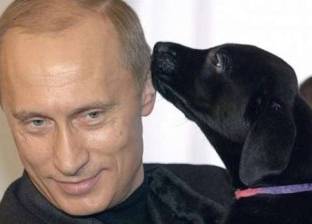 حكاية من قصر رئاسي| الكرملين.. مقر حكم روسي حوله "بوتين" لحديقة حيوان