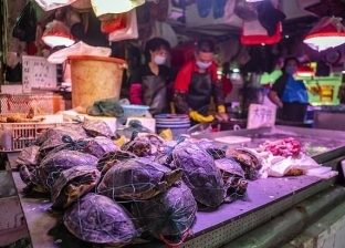 الصين تكشف انتشارا كثيفا لكورونا في مأكولات بحرية ولحوم بسوق في بكين