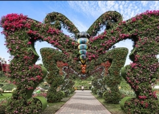 حديقة في دبي تتيح الدخول مجانا لذوي الهمم.. بها فراشات حقيقية محنطة