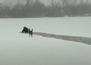 بالفيديو| فتاة تلقي بنفسها في مياه متجمدة لتنقذ كلب لا تعرفه