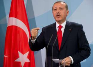 باباجان: أردوغان يدير تركيا عن طريق "ذباب إلكتروني"