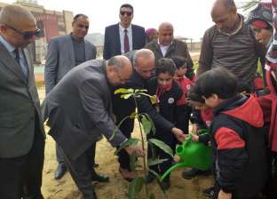 غرس 67 شجرة بالمدرسة اليابانية بإدارة المنتزه في الإسكندرية