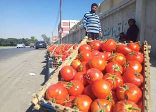 تراجع كبير في أسعار الطماطم بالأسواق.. 4 كيلو بـ10 جنيهات