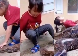 طفلة صغيرة تلعب مع ثعبان مرعب دون خوف.. نهاية غير متوقعة «فيديو»