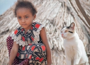 قطة ترافق طفلة يمنية تعيش في منطقة نائية.. «صديقتها الوحيدة»