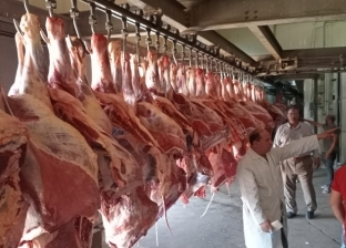 «حماية المستهلك» يحذر من ظهور فطريات على اللحوم: غير صالحة للاستهلاك