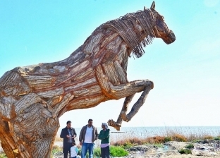 حصان خشب للبيع بـ 60 ألف جنيه في كفر الشيخ: "اللي بيسمع السعر بيتخض"