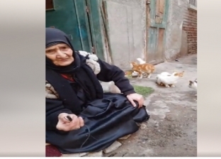 «مسنة» تفتح بيتها لإطعام قطط الشوارع منذ 20 عاماً بالشرقية