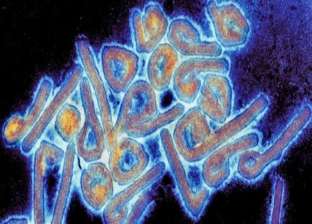 بعد تحذير «الصحة العالمية» منه مجددا.. ماذا نعرف عن فيروس «ماربورج»؟