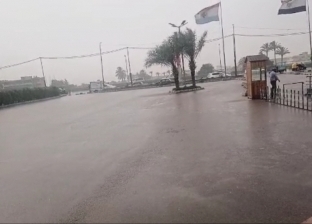 سقوط أمطار رعدية على مناطق متفرقة بالإسكندرية 