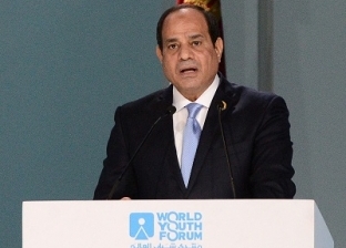 "المصري للشؤون الخارجية" يؤكد حيوية دور مصر وأهميته في الشرق الأوسط