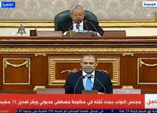 بث مباشر.. جلسة البرلمان لإقرار التعديل الوزاري الجديد