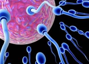 دراسة: اكتشاف بكتيريا تحدد خصوبة الرجال لأول مرة