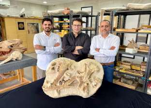 معلومات عن حوت منقرض من 41 مليون سنة.. اكتشفه فريق بجامعة المنصورة